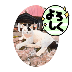 [LINEスタンプ] 風巻すたんぷ④