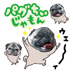 [LINEスタンプ] パグちぃじゃもん