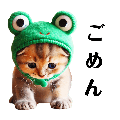 [LINEスタンプ] カエルコス仔猫