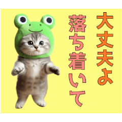 [LINEスタンプ] カエルコス仔猫2