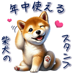 [LINEスタンプ] 年中使える柴犬のスタンプ