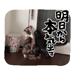 [LINEスタンプ] すずもくりんスタンプ4