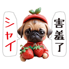 [LINEスタンプ] パグ かわいすぎる（中国語と日本語）