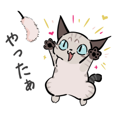 [LINEスタンプ] 猫のあおいさん（シャムミックス）