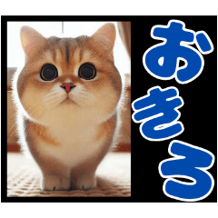 [LINEスタンプ] デカ文字のカラフル寝の画像（メイン）