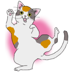 [LINEスタンプ] ねこってだいたいこんなかんじ。