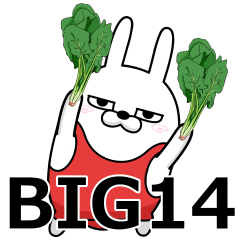 [LINEスタンプ] BIG 擦れうさぎ14