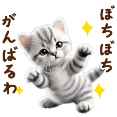 [LINEスタンプ] 関西弁♡動く猫ぬいの家族連絡(アメショー)