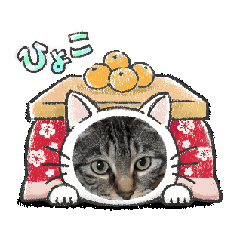 [LINEスタンプ] 猫のラナ2025アニメ