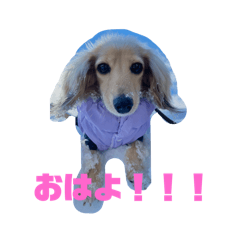 [LINEスタンプ] ぱぴぶんぺ