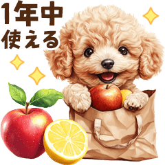 [LINEスタンプ] 毎日使える！トイプードルのスタンプ