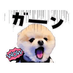 [LINEスタンプ] マメすけ スタンプ