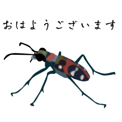 [LINEスタンプ] ナミハンミョウスタンプ