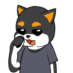 [LINEスタンプ] ねえねえ教えてくれる？って黒柴犬が聞く