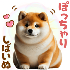 [LINEスタンプ] ぽちゃり柴犬♡日常会話