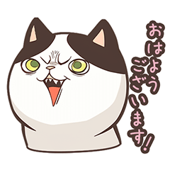 [LINEスタンプ] 圧が強めのハチワレねこ