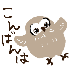 [LINEスタンプ] ずっと使える ほんわかフクロウ