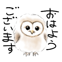 [LINEスタンプ] ずっと使える丁寧敬語・鳥(梟とインコ)