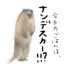 [LINEスタンプ] hemhemjpのどうぶつ絵ん 4