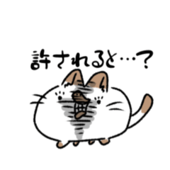 [LINEスタンプ] 我々は猫である。