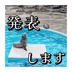 [LINEスタンプ] 海の生き物,水族館好きの為のスタンプvol.2