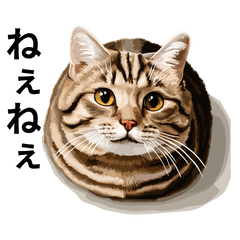 [LINEスタンプ] ぽっちゃりキジトラ猫のほっこりスタンプ