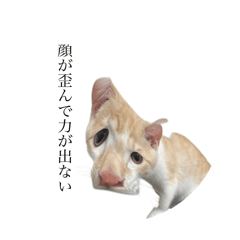 [LINEスタンプ] きな粉餅の変顔