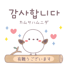 [LINEスタンプ] シマエナガの韓国語スタンプ