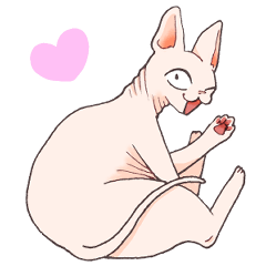 [LINEスタンプ] 元気なスフィンクス猫の日常会話