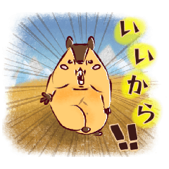 [LINEスタンプ] ひまらやマーモット