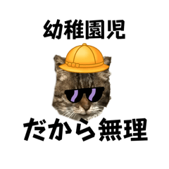 [LINEスタンプ] 表現が豊かな猫1