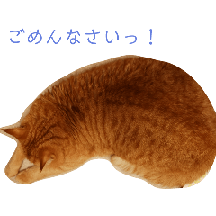 [LINEスタンプ] 気軽に使えるぽんちくわスタンプOne