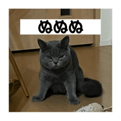[LINEスタンプ] ぬん蔵2