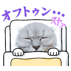 [LINEスタンプ] なかよぷかぞぷ( •ω•ฅ）