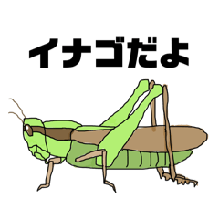 [LINEスタンプ] バッタじゃないよイナゴだよ