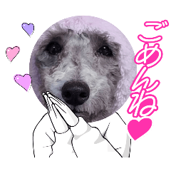 [LINEスタンプ] ルルのスタンプッ！！