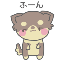 [LINEスタンプ] もふゆるチワワさん1(ロング/チョコタン)