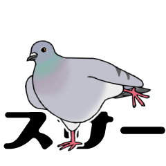 [LINEスタンプ] うごくかわいい鳩