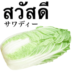 [LINEスタンプ] 白菜 です 【タイ語】