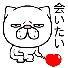 [LINEスタンプ] 目つきが悪い猫の日常