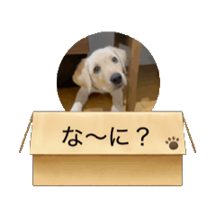 [LINEスタンプ] R＆Jの画像（メイン）