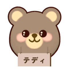 [LINEスタンプ] 毎日使えるクマのテディ君 ☆1☆