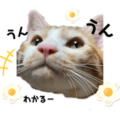 [LINEスタンプ] fukupukuスタンプ