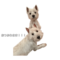 [LINEスタンプ] ららとみみ