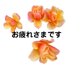 [LINEスタンプ] Flower stamps 日常