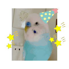 [LINEスタンプ] 面白いおしゃべり！可愛いインコの日常会話2