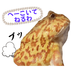 [LINEスタンプ] 毒舌のツノガエル