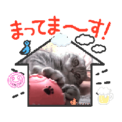 [LINEスタンプ] ちぃちゃんの動くスタンプ