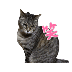 [LINEスタンプ] げんくんです5