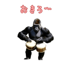 [LINEスタンプ] 飛び出すリアルゴリラ